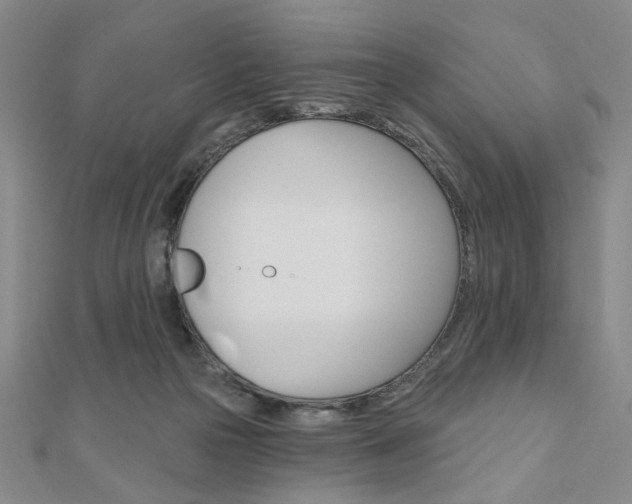 X0000110960169200906191057
