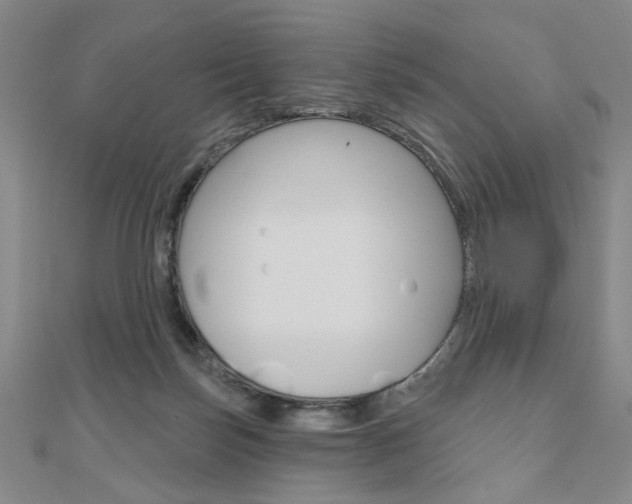 X0000110960171200906191057