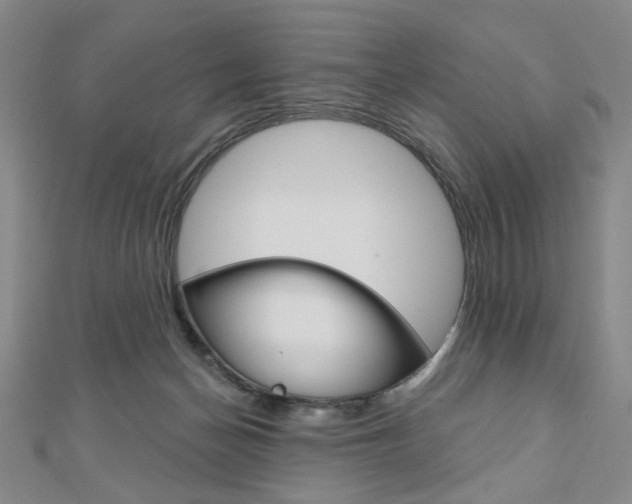 X0000110960174200906191057