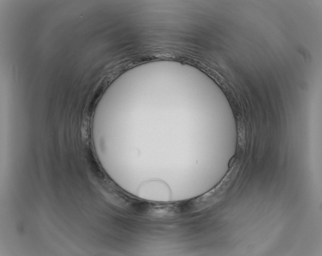 X0000110960175200906191057