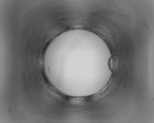 X0000110960179200906191057