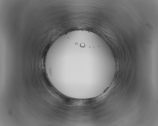 X0000110960182200906191057