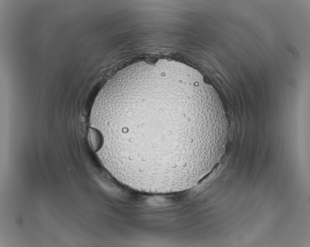 X0000110960183200906191057