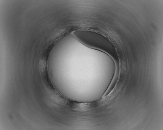 X0000110960184200906191057
