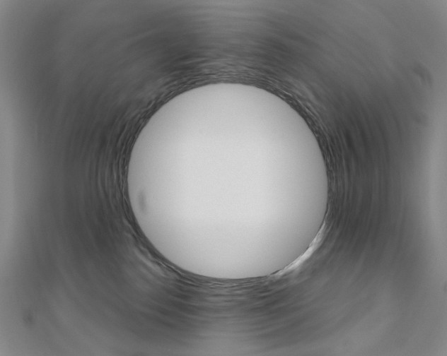 X0000110960186200906191057