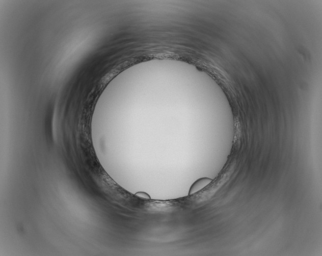 X0000110960189200906191057