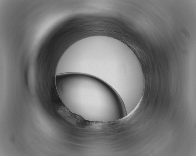 X0000110960190200906191057