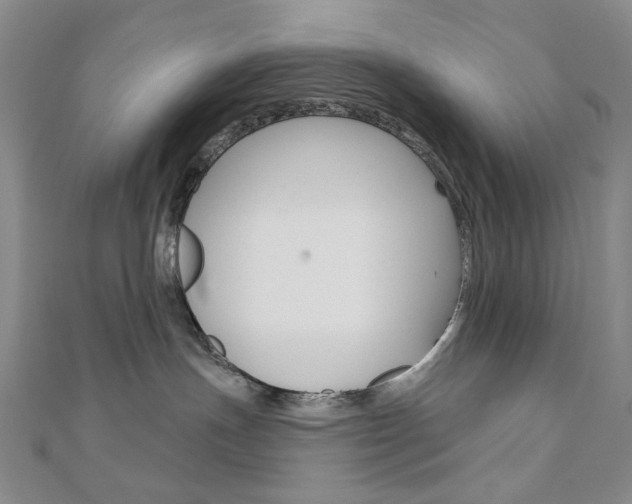 X0000110960191200906191057