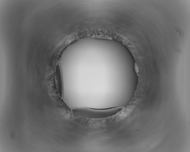 X0000110960192200906191057