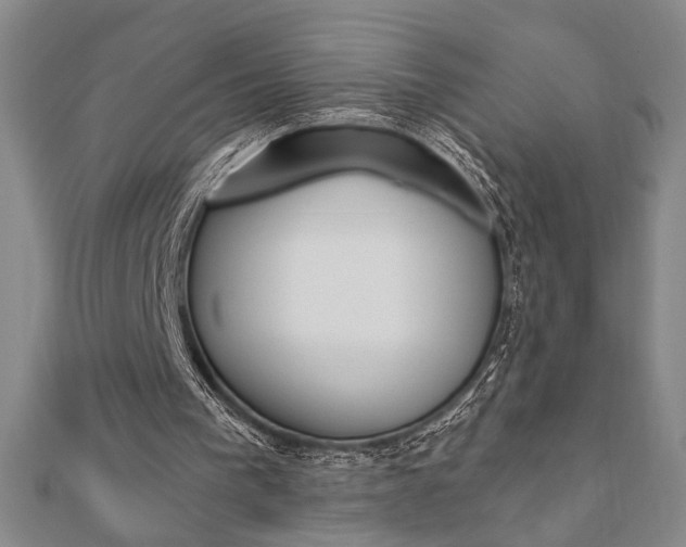 X0000110960193200906191057