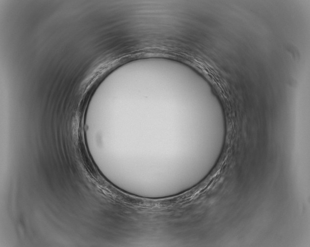 X0000110960194200906191057