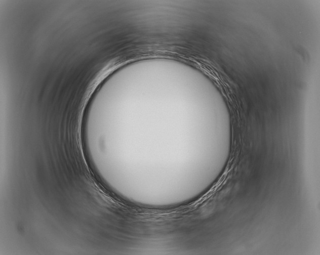 X0000110960195200906191057