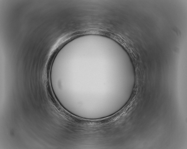X0000110960198200906191057