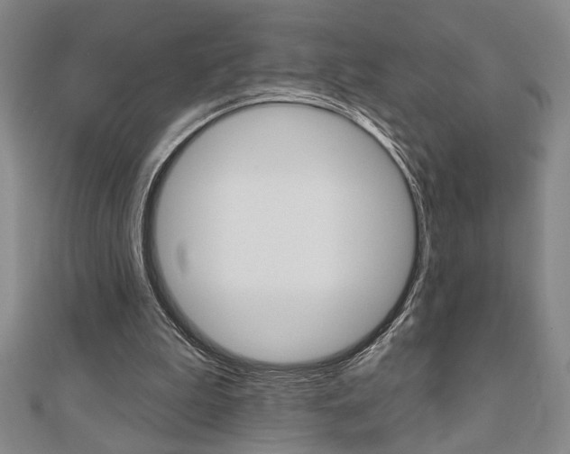 X0000110960199200906191057