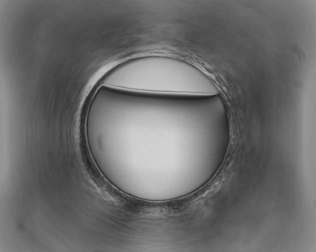 X0000110960200200906191057