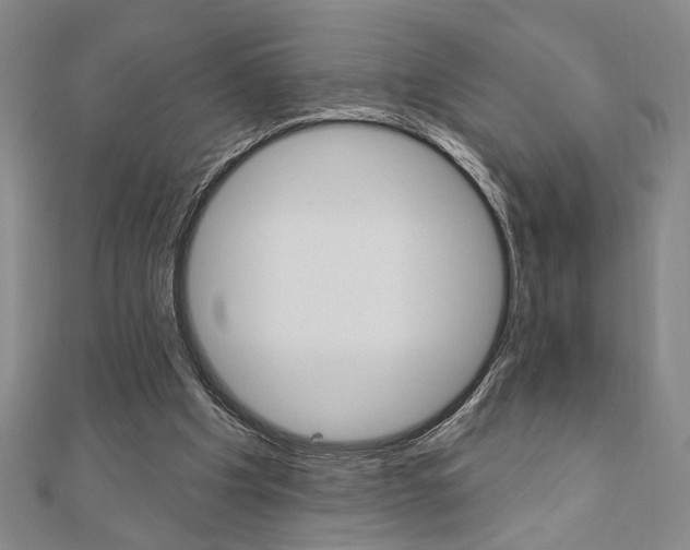 X0000110960201200906191057
