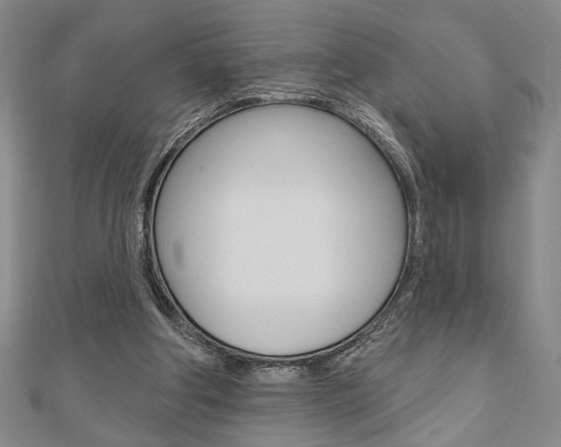 X0000110960202200906191057