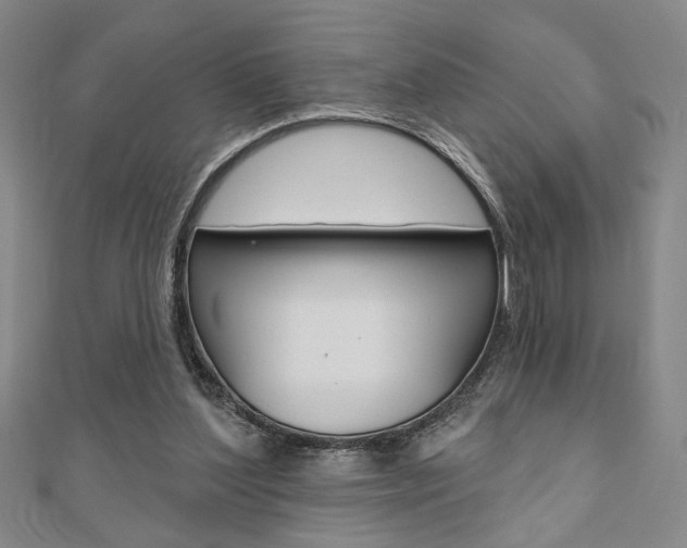X0000110960204200906191057