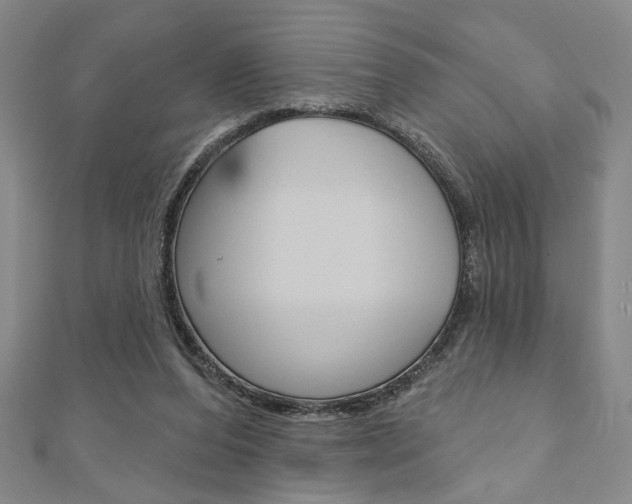 X0000110960208200906191056