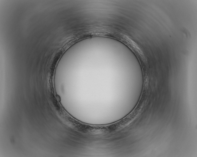 X0000110960209200906191056