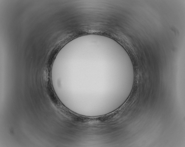 X0000110960210200906191056
