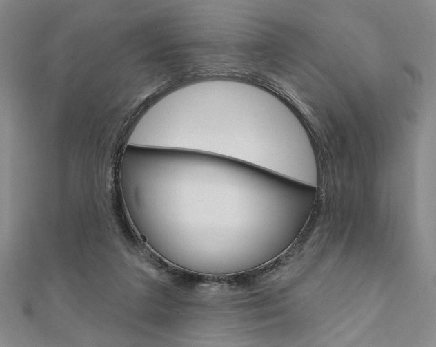 X0000110960211200906191056
