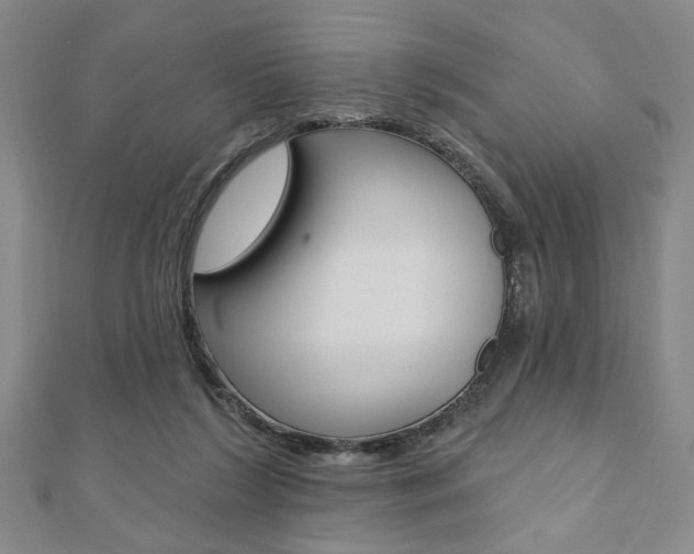X0000110960212200906191056