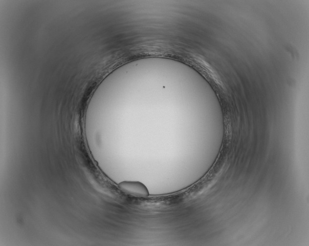 X0000110960213200906191056