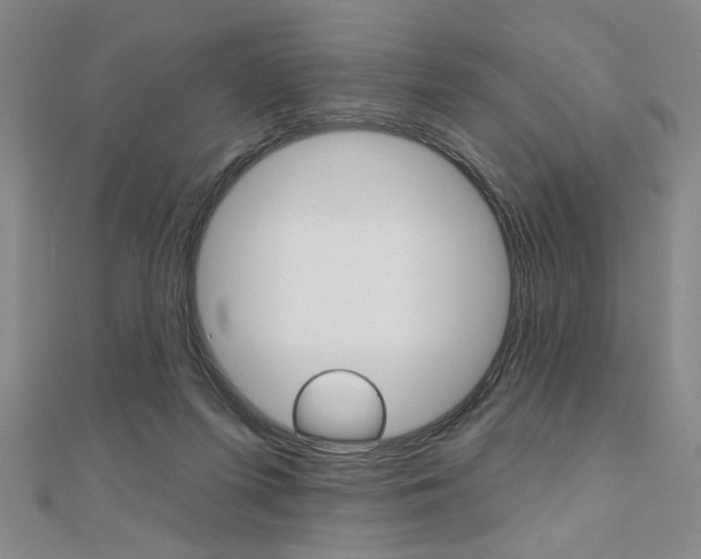 X0000110960215200906191056