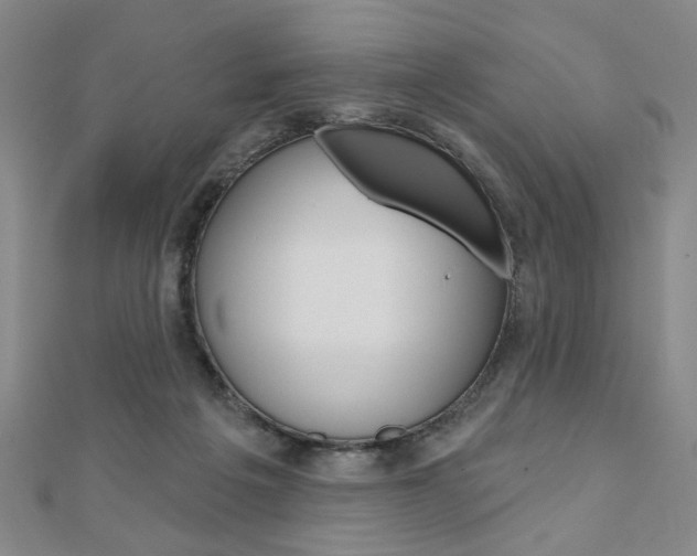 X0000110960217200906191056