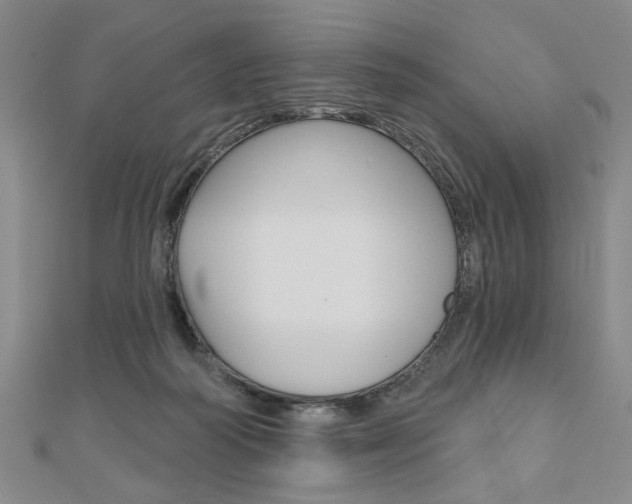 X0000110960218200906191056