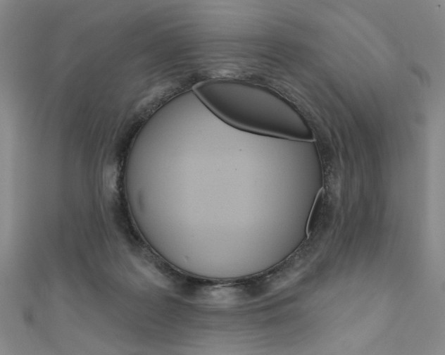 X0000110960219200906191056