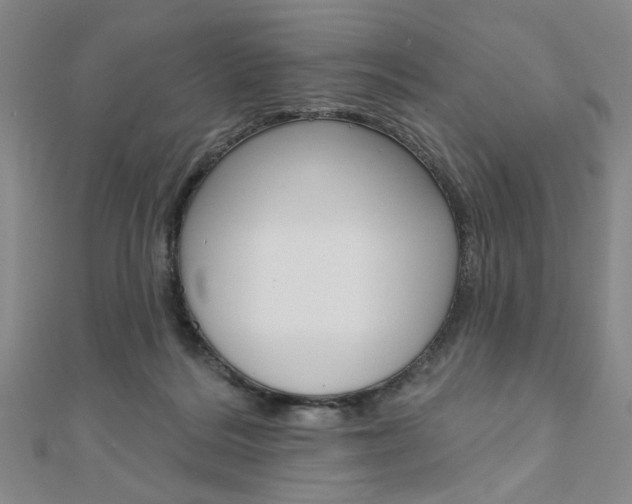 X0000110960220200906191056