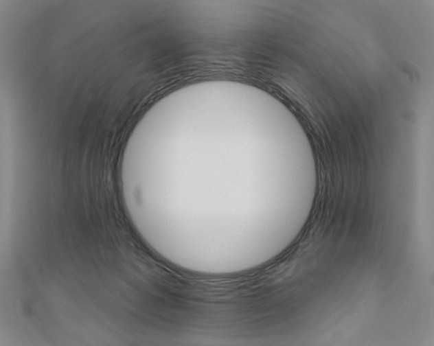 X0000110960221200906191056