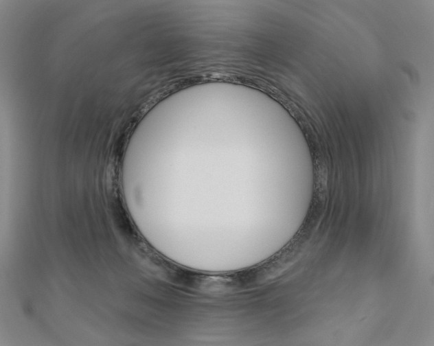 X0000110960222200906191056