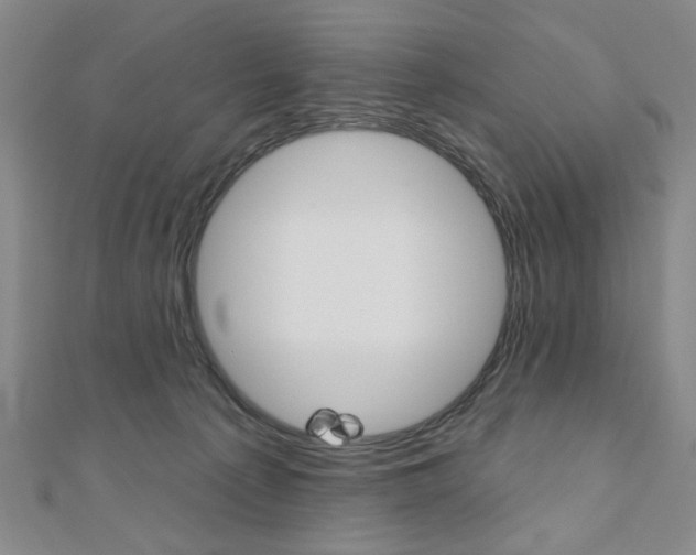 X0000110960225200906191056