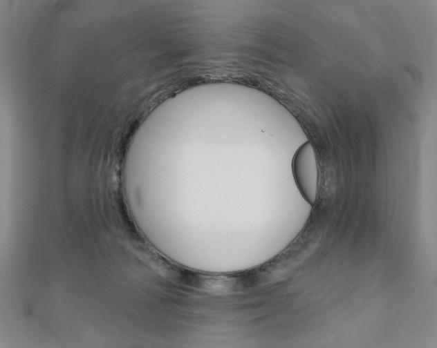 X0000110960226200906191056