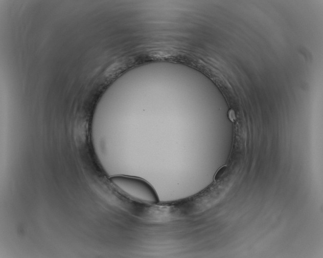 X0000110960227200906191056