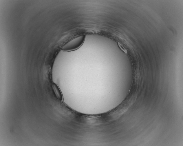 X0000110960229200906191056