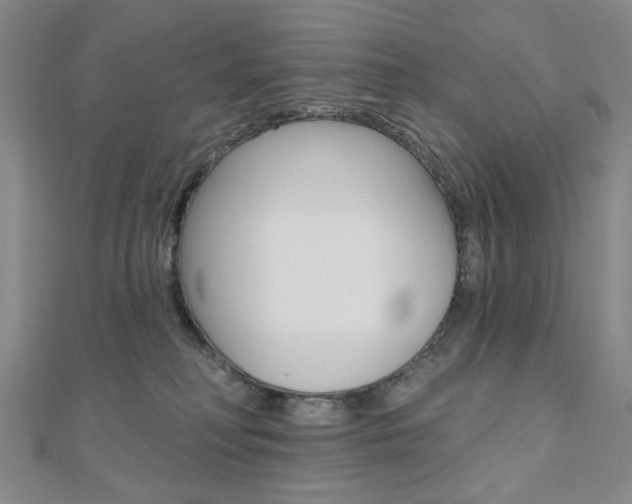 X0000110960230200906191056