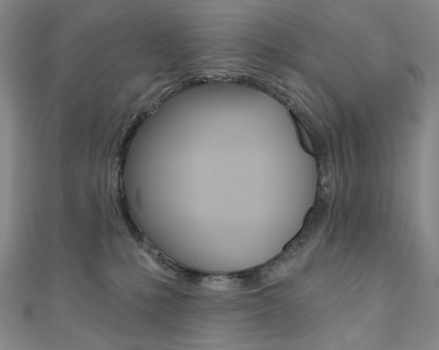 X0000110960231200906191056