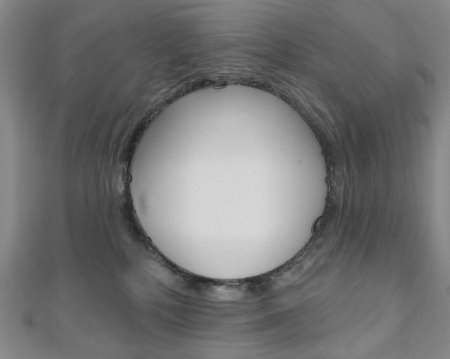 X0000110960232200906191056