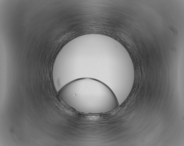 X0000110960233200906191056