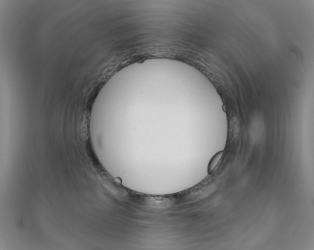 X0000110960234200906191056