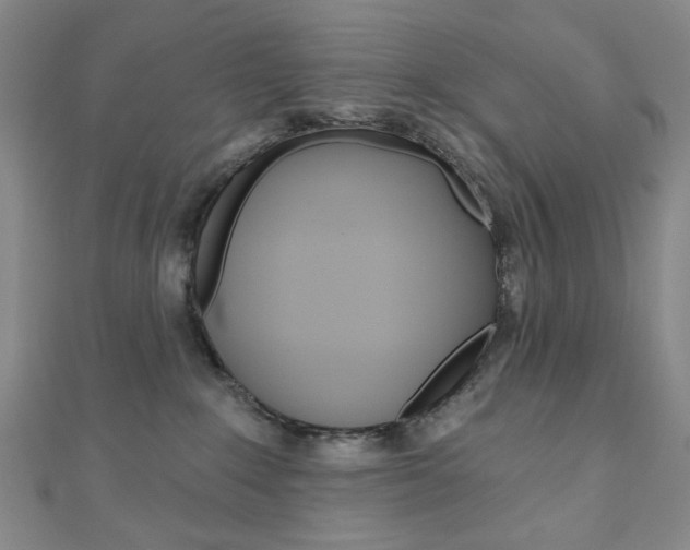 X0000110960235200906191056