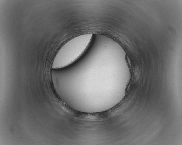 X0000110960236200906191056