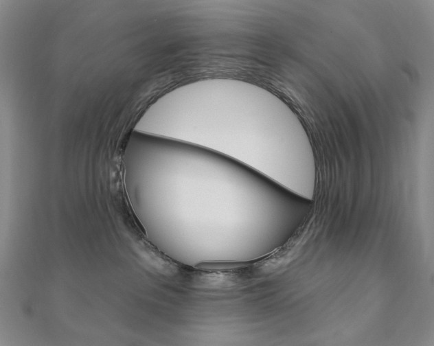 X0000110960237200906191056
