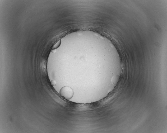 X0000110960238200906191056