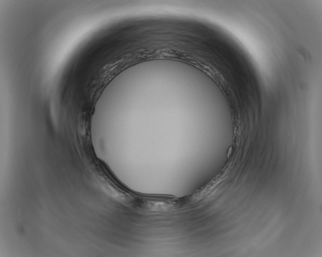 X0000110960239200906191056