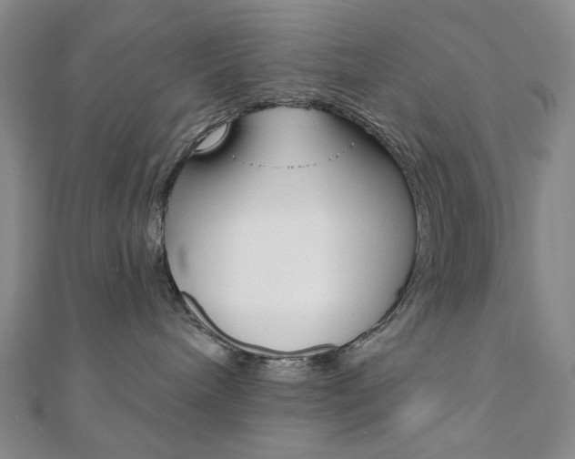 X0000110960240200906191056